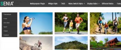 Responsive Category Slider screenshot 3