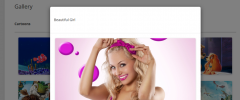 Responsive Photo Gallery screenshot 4