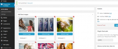 Responsive Portfolio screenshot 4