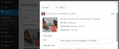 Responsive Portfolio screenshot 6