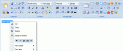 RichTextEditor - Rich Text Editor for WordPress screenshot 6