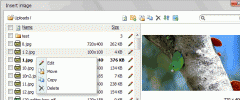 RichTextEditor - Rich Text Editor for WordPress screenshot 8