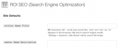 ROI_SEO screenshot 2