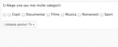 Romanian TV Online Widget screenshot 2