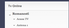 Romanian TV Online Widget screenshot 3