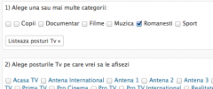 Romanian TV Online Widget screenshot 4