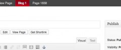 RPS Blog Info screenshot 2