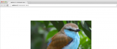 Sabines Zoom Gallery screenshot 3