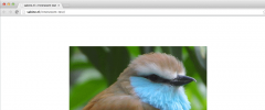 Sabines Zoom Gallery screenshot 4