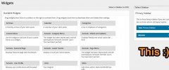 Sane Widget Sidebar Management screenshot 1