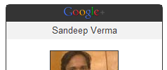 Scriptrr Google + Profile widget screenshot 1