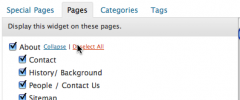 Section Widget screenshot 2