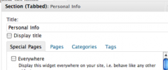 Section Widget screenshot 4