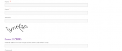 Secure CAPTCHA screenshot 1
