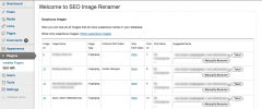 SEO Image Renamer screenshot 1