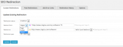 SEO Redirection Plugin screenshot 5