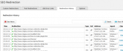 SEO Redirection Plugin screenshot 8