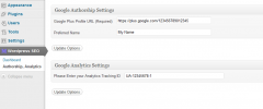 SEO Wordpress screenshot 2
