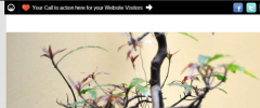 Cunjo: The Best Free Social Share Plugin screenshot 2