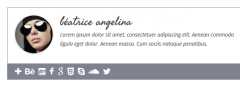 Simple Author Box screenshot 10
