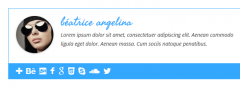 Simple Author Box screenshot 11