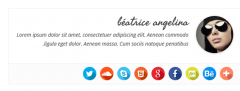Simple Author Box screenshot 12