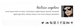 Simple Author Box screenshot 13