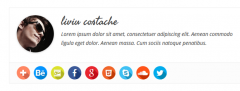 Simple Author Box screenshot 14