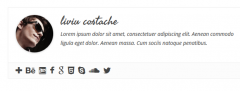 Simple Author Box screenshot 2