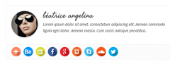 Simple Author Box screenshot 7