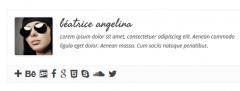 Simple Author Box screenshot 8