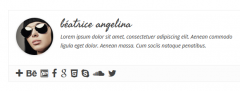 Simple Author Box screenshot 9