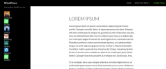 Simple Blog Authors Widget screenshot 2
