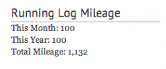 Simple Running Log screenshot 1