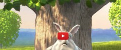 Simple YouTube Embed screenshot 1