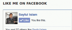 Facebook Like Box screenshot 1