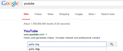 Sitelinks Search Box screenshot 1