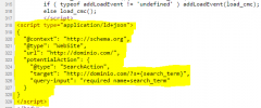 Sitelinks Search Box screenshot 2