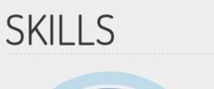 Skills Widget screenshot 1