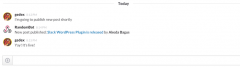 Slack screenshot 3