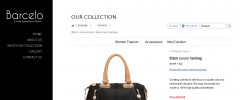 Snap Ecommerce screenshot 4
