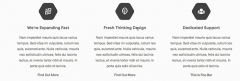 Features Widget screenshot 1
