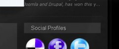 Social Profiles Sidebar Widget screenshot 2