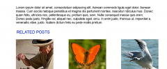 Social Semantic Recommendation (SOSERE) screenshot 1