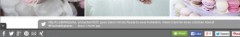 Social Toolbar screenshot 5