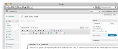 Specific CSS/JS for Posts and Pages screenshot 1