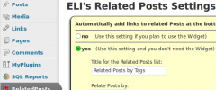 ELI's Related Posts Footer Links and Widget screenshot 2