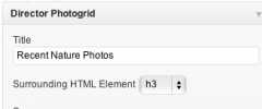 SSP Director Tools screenshot 2
