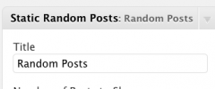 Static Random Posts Widget screenshot 2