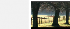 Stick Admin Bar To Bottom screenshot 1